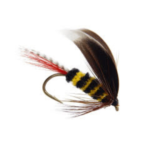 McGinty Bee Wet McGinty Bee Wet