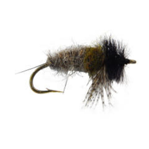 Peeking Caddis Wtd Peeking Caddis Wtd