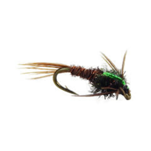 Pheasant Tail Flashback