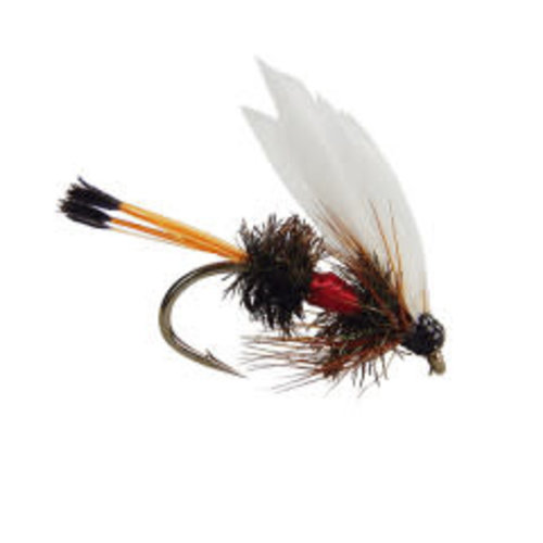 Holly Flies Royal Coachman Wet Holly Flies Royal Coachman Wet