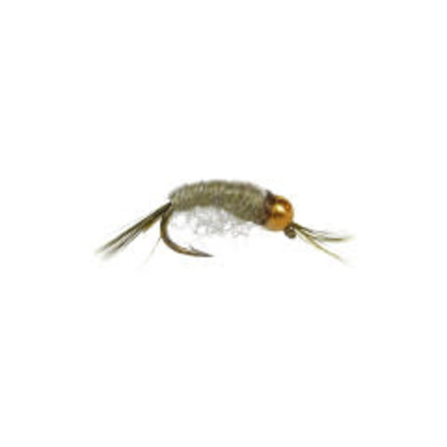 Scud-Olive Gray Bd Head Scud-Olive Gray Bd Head