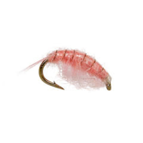 Scud/Shrimp Scud/Shrimp