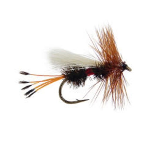 Trude-Royal Coachman Trude-Royal Coachman