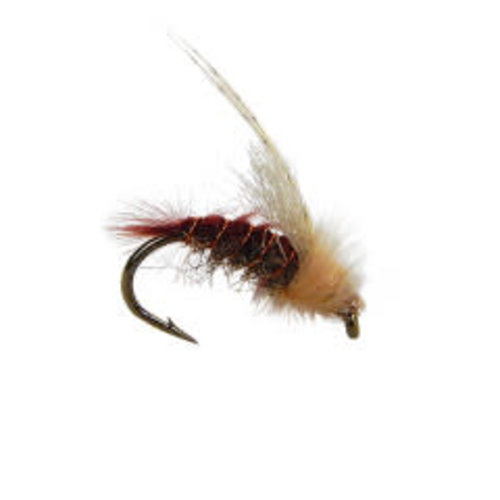 Z-Wing Caddis Z-Wing Caddis
