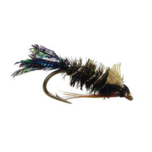 Zug Bug Wtd Zug Bug Wtd