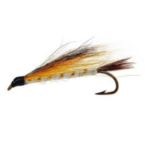 Little Brown Trout Little Brown Trout