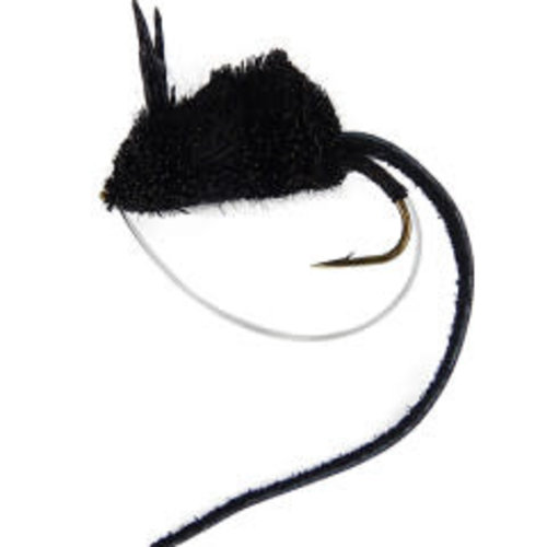 Hair Mouse Hair Mouse