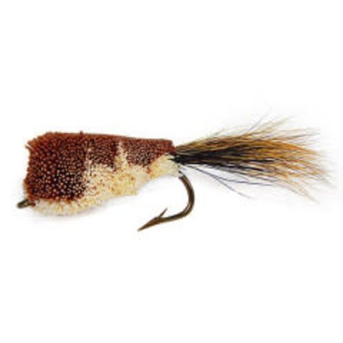 Mini Frog-Brown Mini Frog-Brown