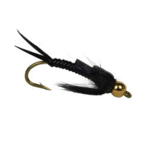 B/H Early Black Stonefly