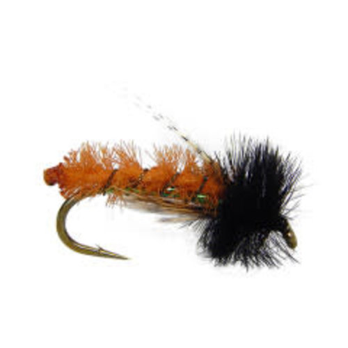 Caddis Poopah Caddis Poopah