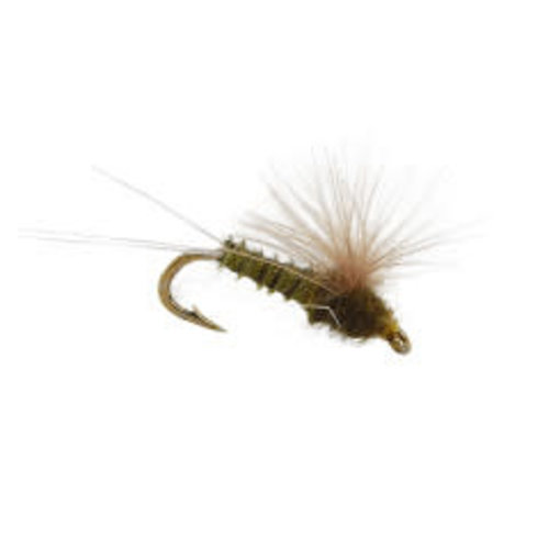 Holly Flies CDC Biot Comparadun BWO Holly Flies CDC Biot Comparadun BWO