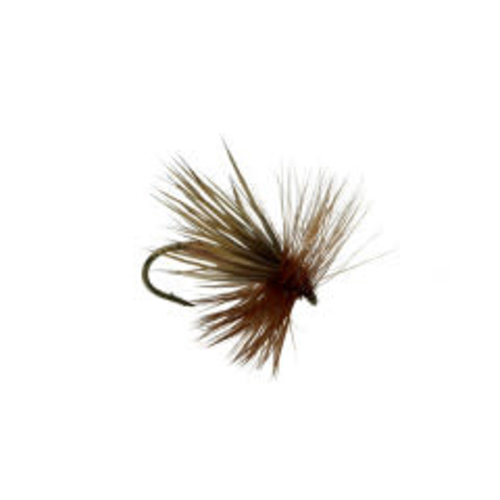 Cinnamon Caddis Cinnamon Caddis