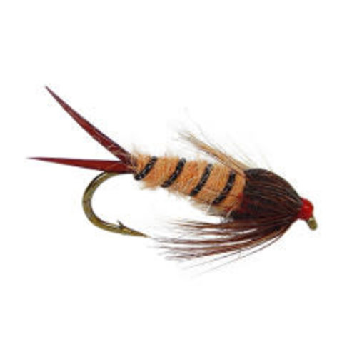 Early Brown Stone Wtd Early Brown Stone Wtd