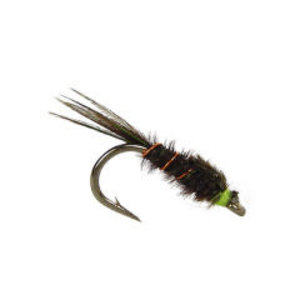 English Pheasant Tail