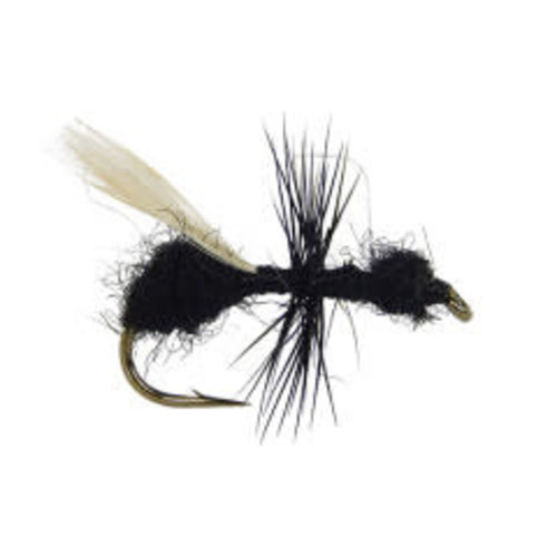 Flying Ant Flying Ant