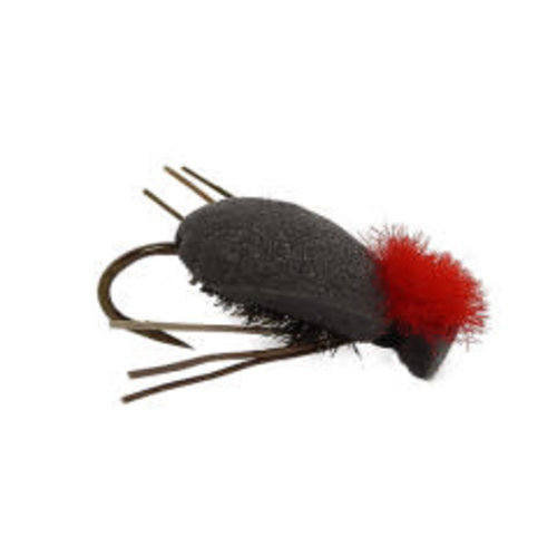 Foam Beetle-Black Foam Beetle-Black