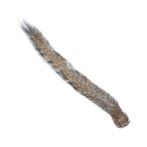 Wapsi Wapsi Squirrel Tail