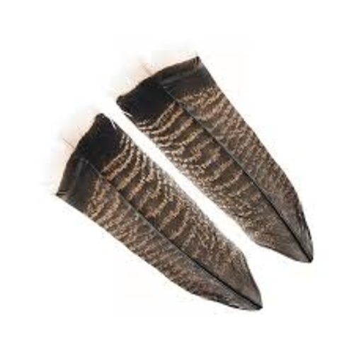 Wapsi Mottled White Tipped Turkey Tail- Grade 1 Wapsi Mottled White Tipped Turkey Tail- Grade 1