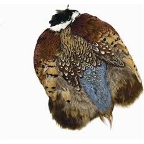 Wapsi Ringneck Pheasant Skin Wapsi Ringneck Pheasant Skin
