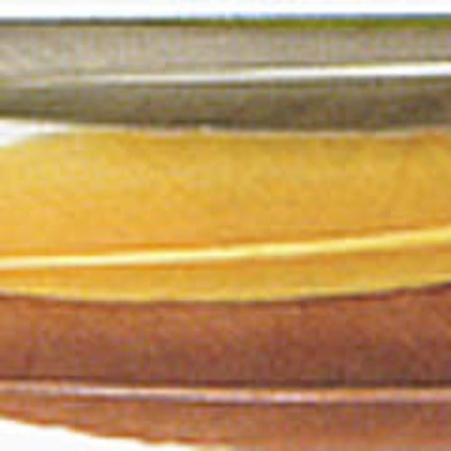 Wapsi Duck Quill, 2 Pair Wapsi Duck Quill, 2 Pair