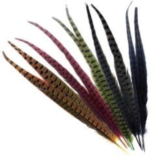 Wapsi Ringneck Pheasant Tail Feathers (1 Pair) Wapsi Ringneck Pheasant Tail Feathers (1 Pair)