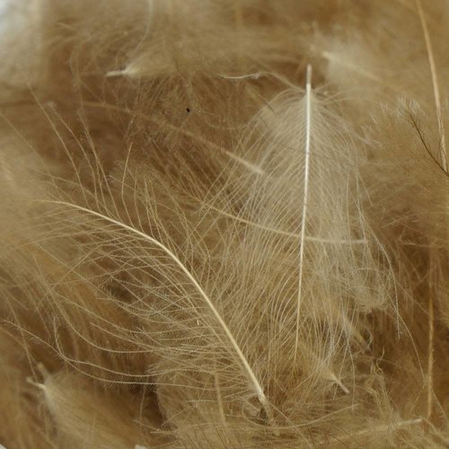 TroutHunter TroutHunter Premium Natural CDC Bulk TroutHunter TroutHunter Premium Natural CDC Bulk