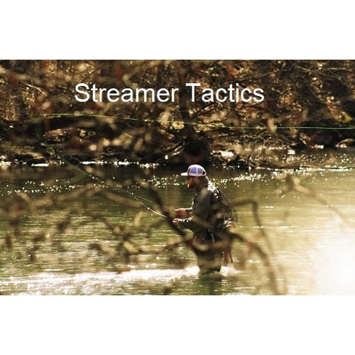 Precision Fly Fishing Mt. Holly Springs Streamer Tactics Class Precision Fly Fishing Mt. Holly Springs Streamer Tactics Class