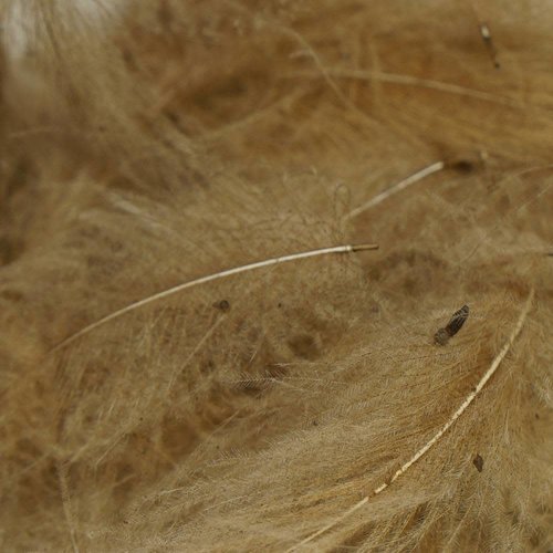 TroutHunter TroutHunter Premium Dyed CDC Bulk TroutHunter TroutHunter Premium Dyed CDC Bulk