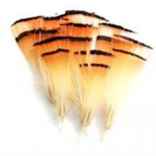 Wapsi Golden Pheasant Tippets Wapsi Golden Pheasant Tippets