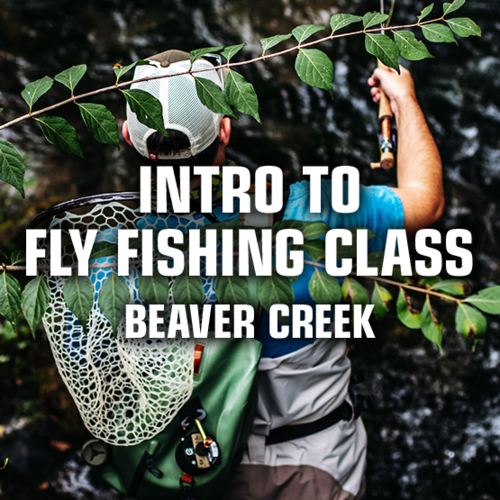 Precision Fly Fishing Intro to Fly Fishing Class - Beaver Creek Precision Fly Fishing Intro to Fly Fishing Class - Beaver Creek