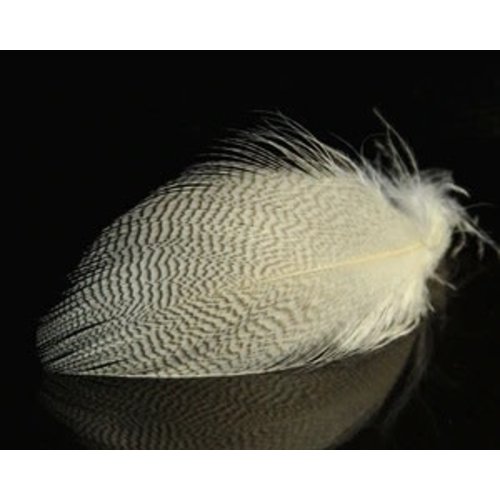 Natures Spirit Mallard Spey Feathers Natures Spirit Mallard Spey Feathers