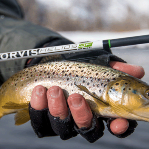 Fly Rods for All Anglers