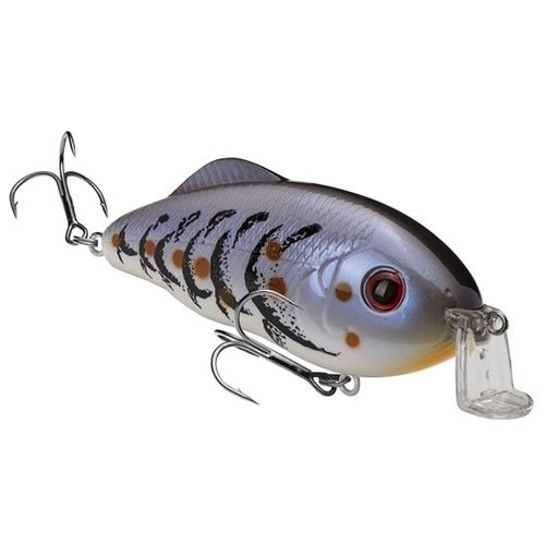 Strike King Hybrid Hunter Jr. Crankbait Strike King Hybrid Hunter Jr. Crankbait
