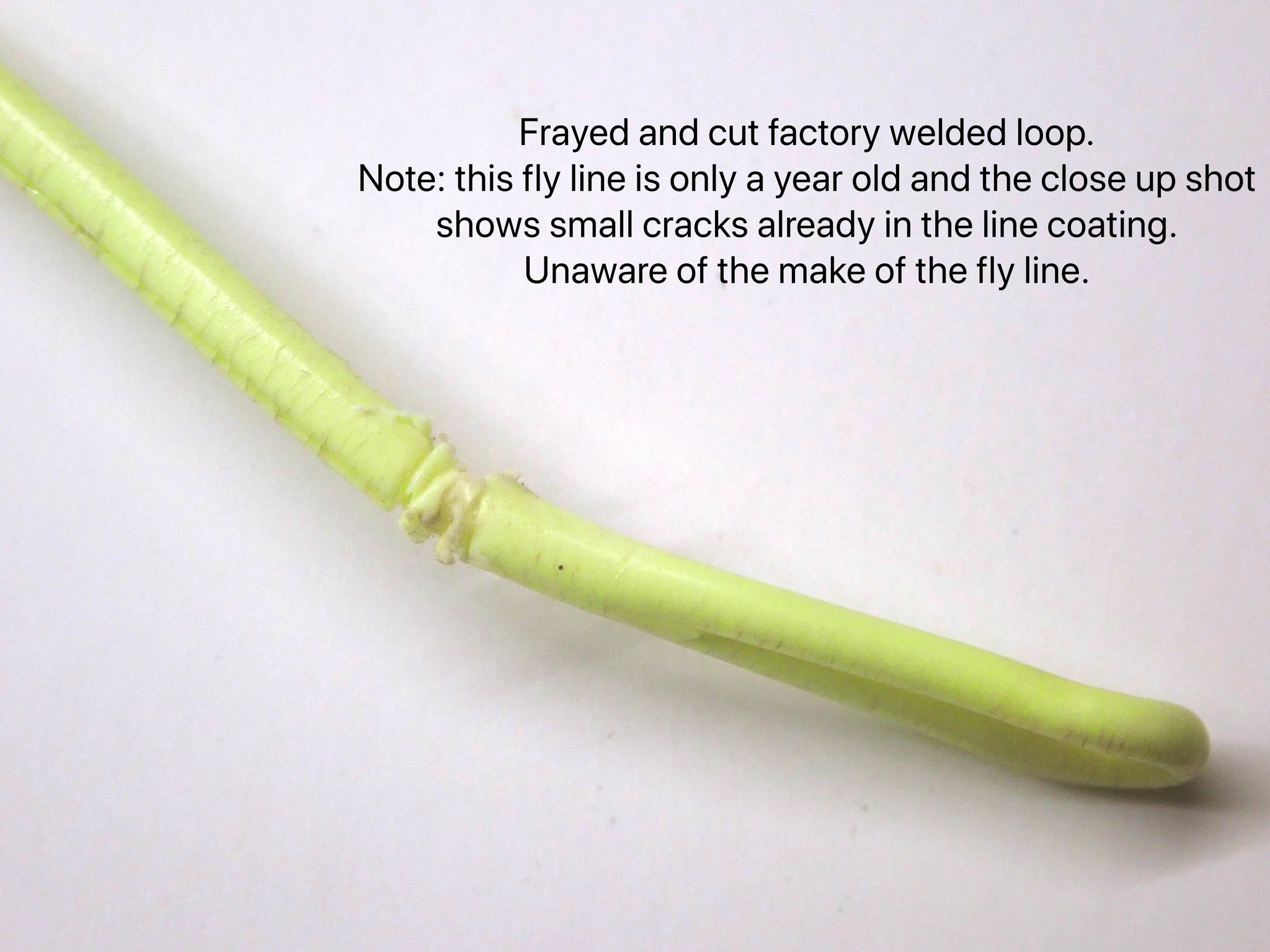 Loop to Loop?