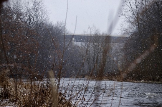 Foul Weather Fishing