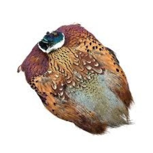 Wapsi Ringneck Pheasant Skin