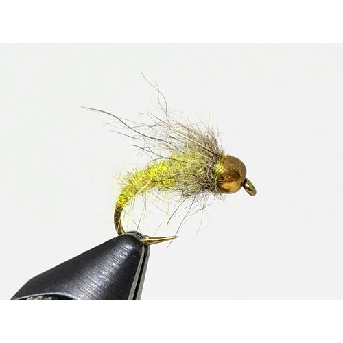 Holly Flies BH Caddis Larva Holly Flies BH Caddis Larva