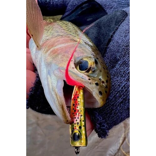 Flymen Fishing Company Spratz Baby Trout Streamer Flymen Fishing Company Spratz Baby Trout Streamer