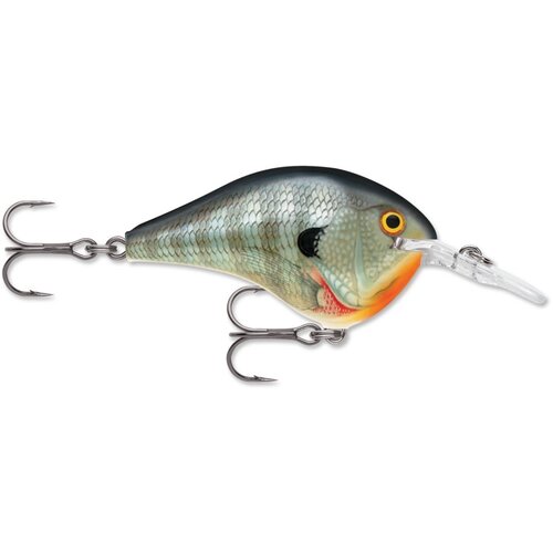Rapala DT (Dives-To) Series Crankbaits Rapala DT (Dives-To) Series Crankbaits
