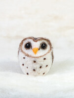 Spectacled Bear Conservation Spectacled Bear Barn Owl