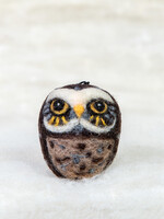 Spectacled Bear Conservation Spectacled Bear Burrowing Owl