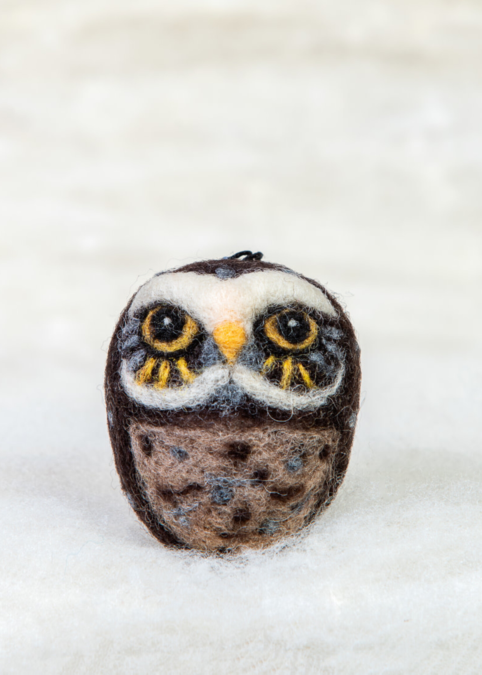 Spectacled Bear Conservation Spectacled Bear Burrowing Owl