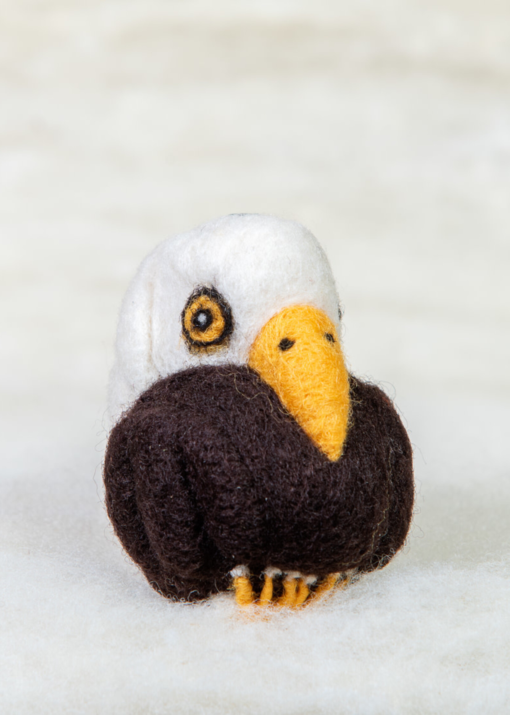 Spectacled Bear Conservation Spectacled Bear Bald Eagle