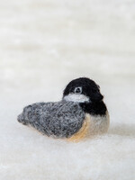 Spectacled Bear Conservation Spectacled Bear Chickadee