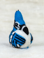 Spectacled Bear Conservation Spectacled Bear Blue Jay