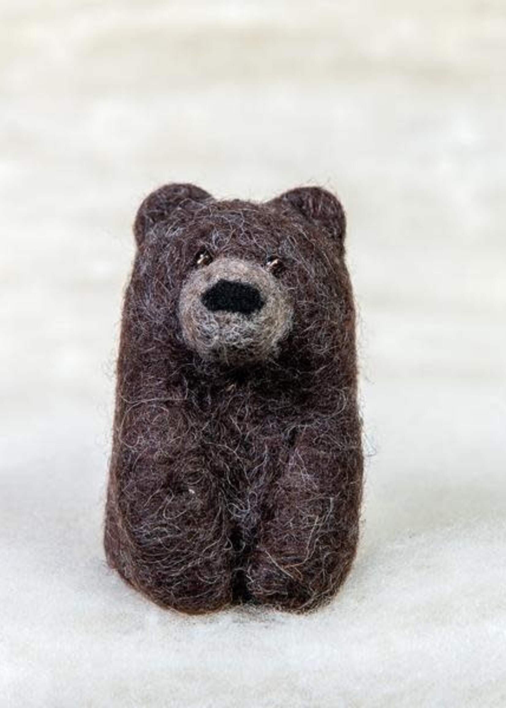 Spectacled Bear Conservation Spectacled Bear Grizzly