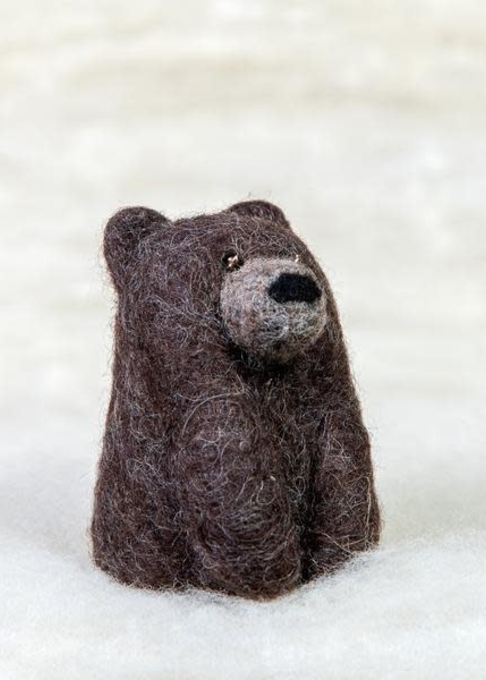 Spectacled Bear Conservation Spectacled Bear Grizzly