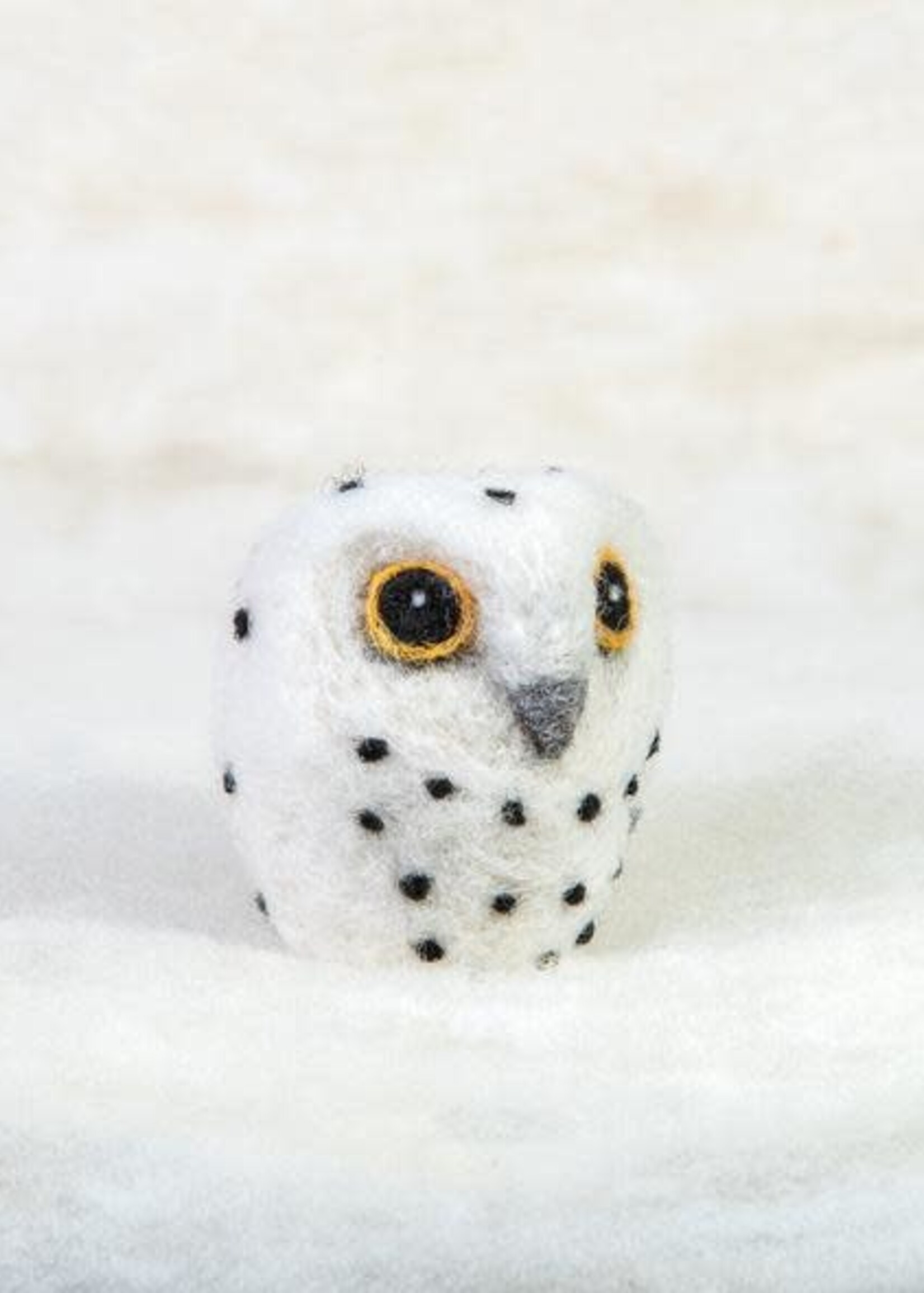 Spectacled Bear Conservation Spectacled Bear Snow Owl