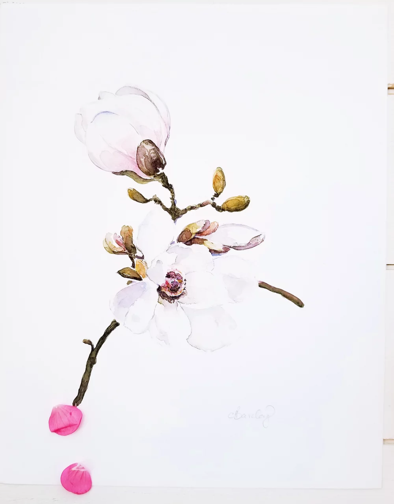 Coral Barclay Coral Barclay Original Sweet Magnolia 1