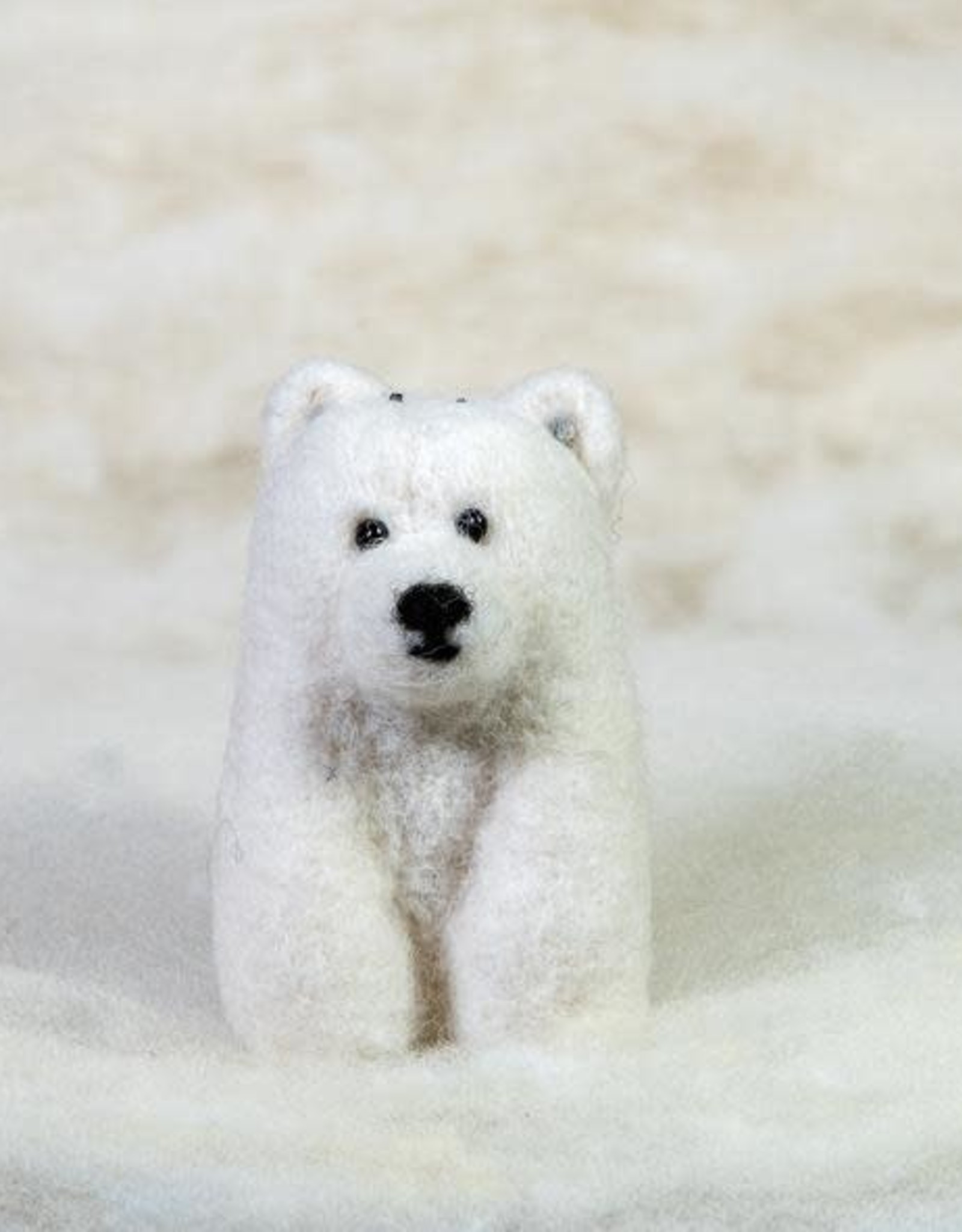 Spectacled Bear Conservation Spectacled Bear Polar Bear